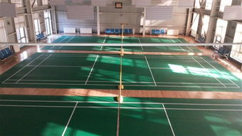 專注品質，服務運動——北京達森運動木地板有限責任公司