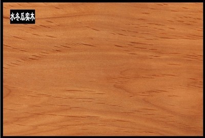 佛山市南海區(qū)駿藤家具 熱推新品真藤沙發(fā)，引領(lǐng)酒店家具新潮流